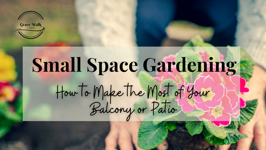 Small Space Gardening: How to Make the Most of Your Balcony or Patio