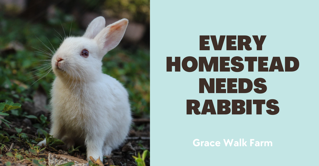 Every Homestead Needs Rabbits