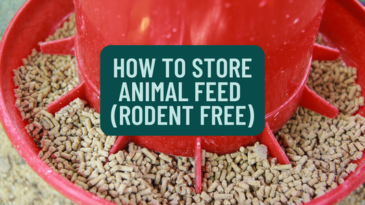 How to Store Animal Feed - Rodent Free