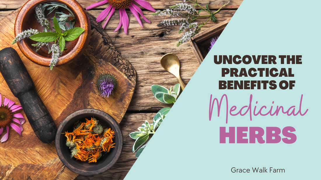 Uncover the Practical Benefits of Medicinal Herbs