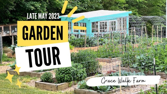 Load video: homestead garden tour