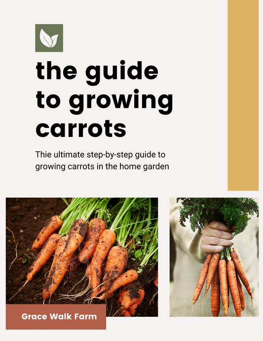 The Guide to Growing Carrots