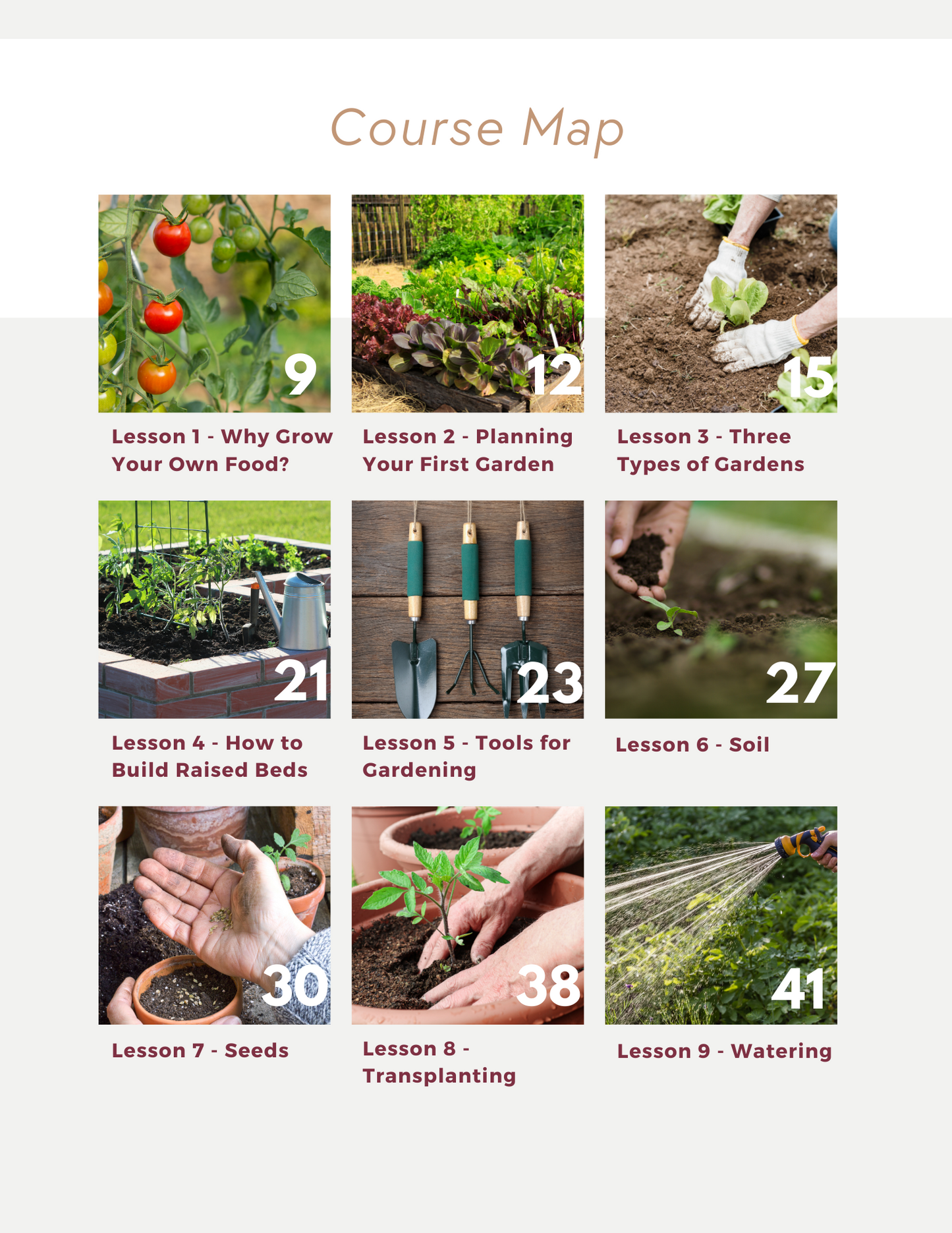 Grow Food: Backyard Gardening 101