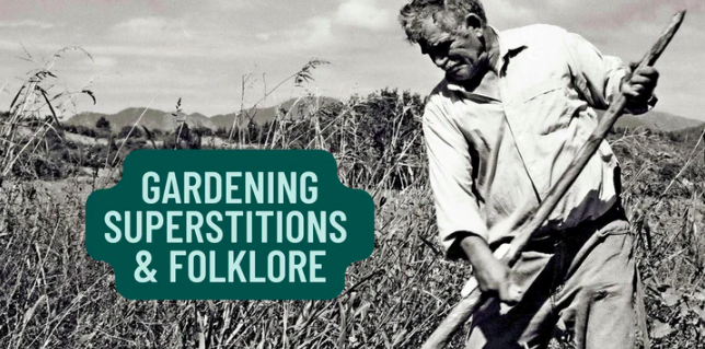 Gardening Superstitions and Folklore