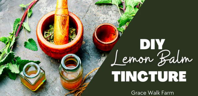 How to Make a Lemon Balm Tincture