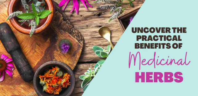 Uncover the Practical Benefits of Medicinal Herbs