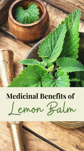 medicinal benefits of lemon balm