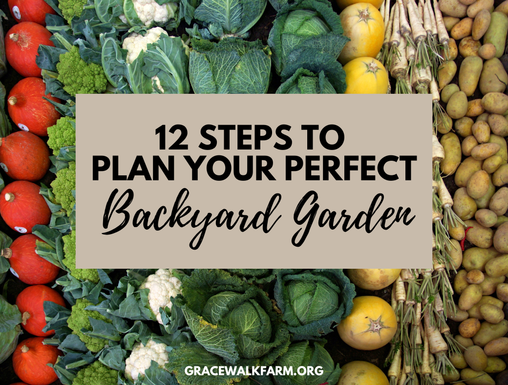 12 Steps to a Backyard Garden: A Tutorial for Beginners