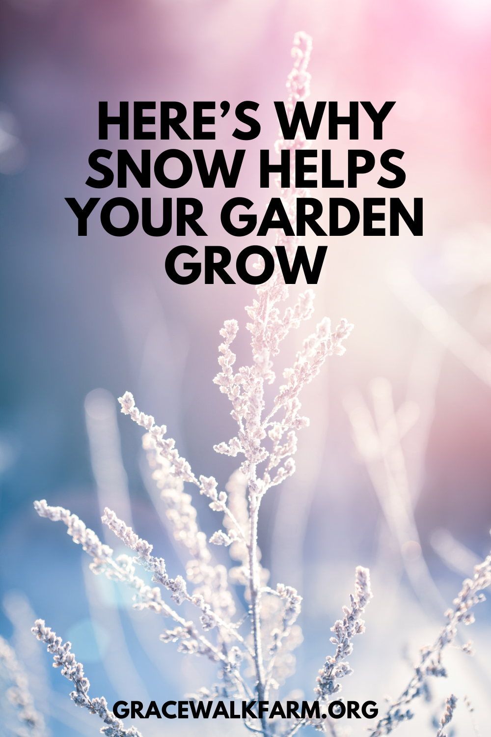 Winter Gardening: Hacks to Keep Your Green Thumb Warm and Your Organic Garden Thriving